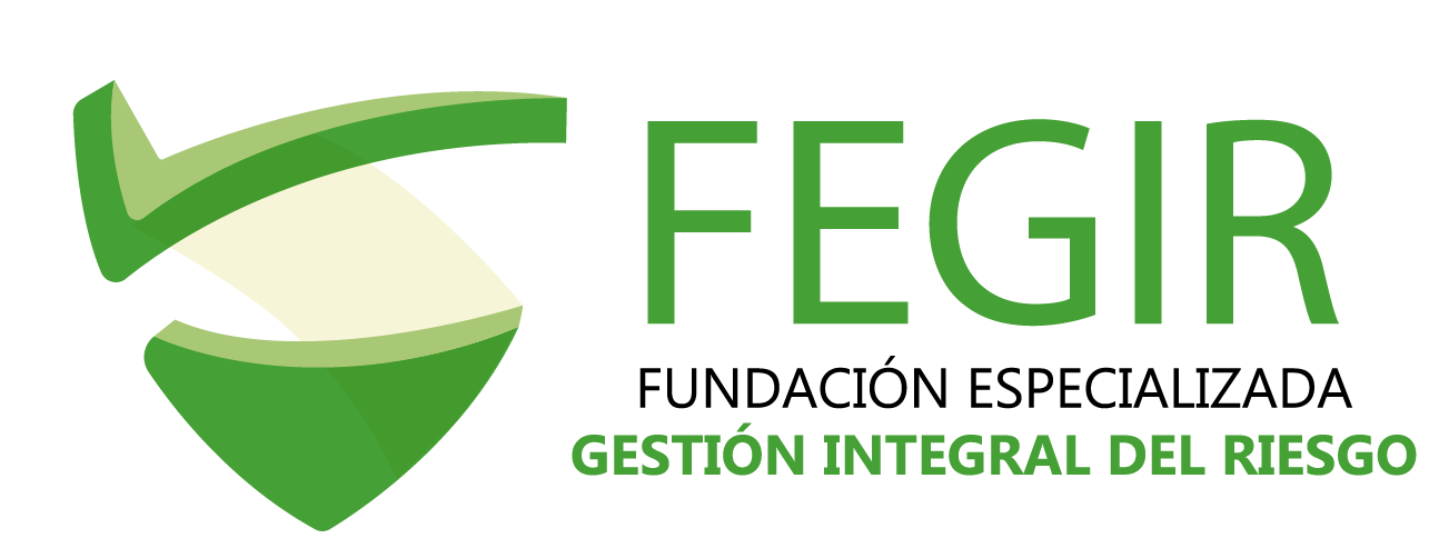 FEGIR Logo